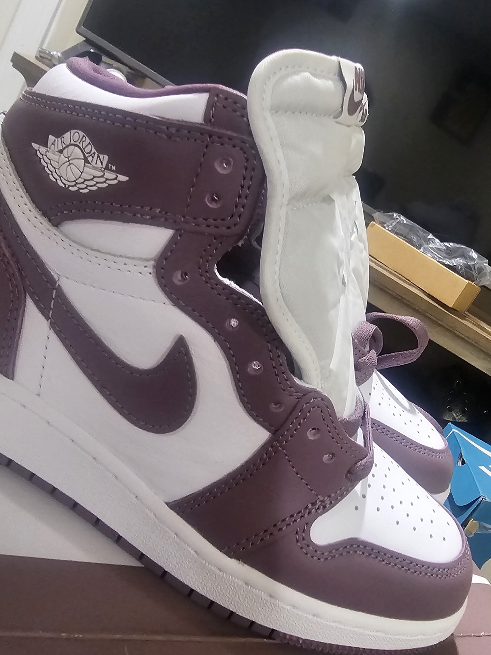 Nike Women’s High-Top Sneakers in White and Purple